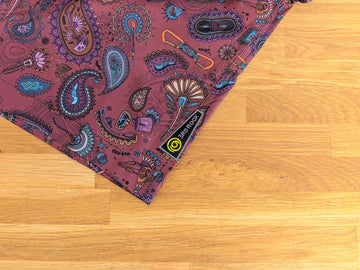 Paisley is here baby!