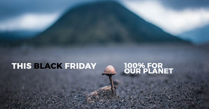 Black Friday: 100% Profit for Our Planet