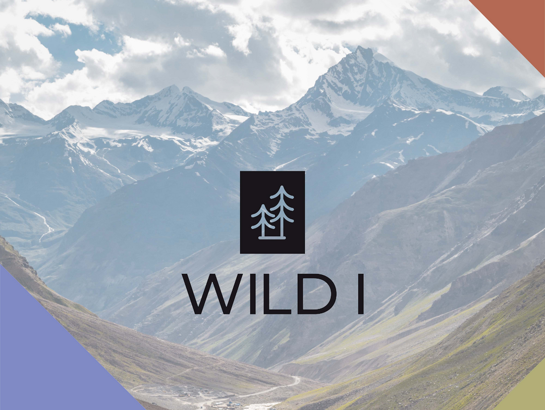 The WILD I Collective