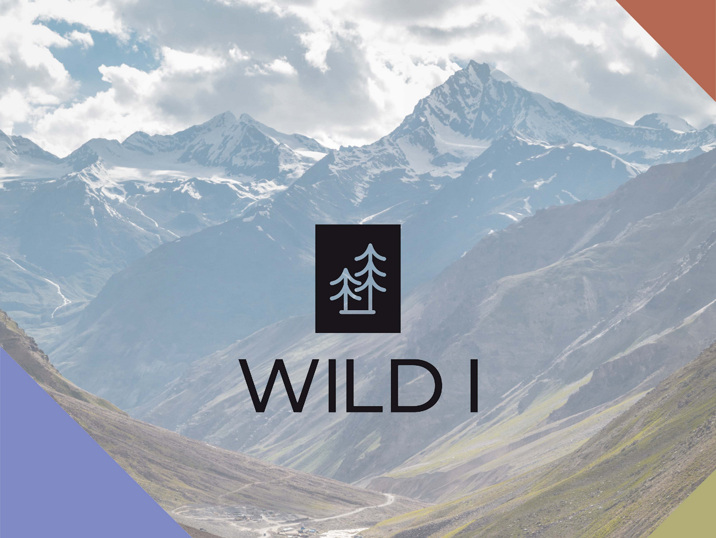 The WILD I Collective