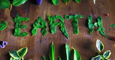 9 Easy Ways to Go Green
